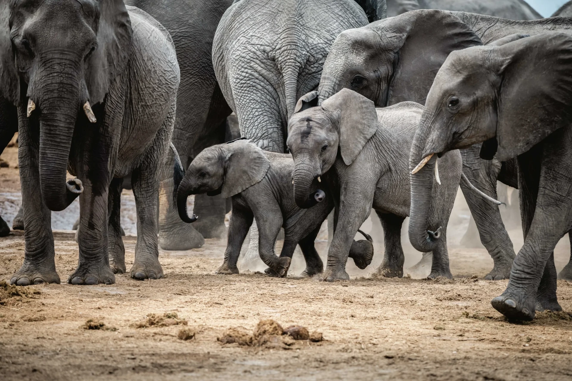 Tarangire National Park